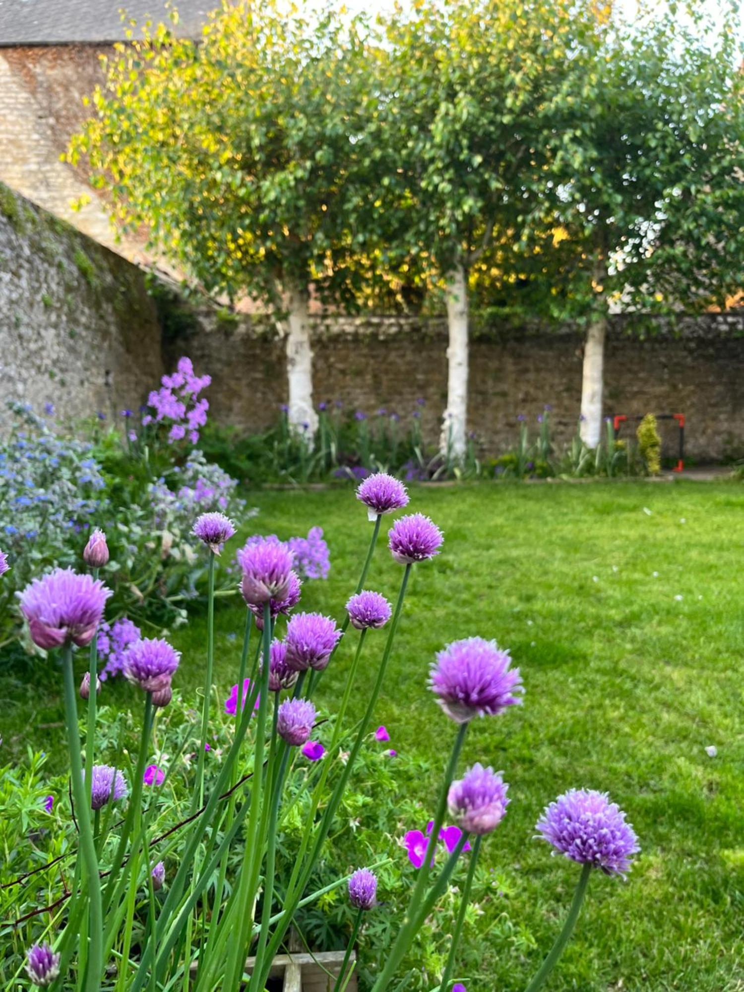 Maison Chaleureuse Avec Jardin - Pause Normande Sées المظهر الخارجي الصورة